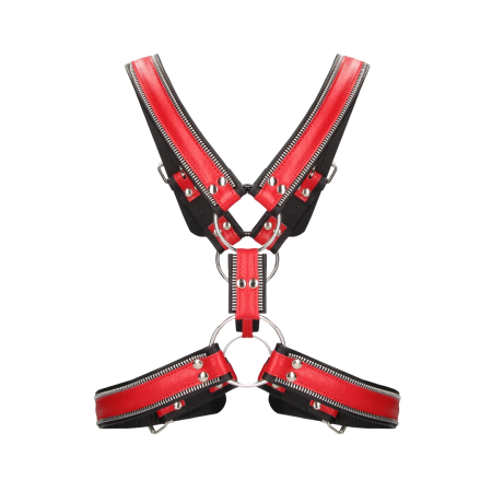 Z Series Scottish Adjustable Leather Harness L/XL with Steel Details