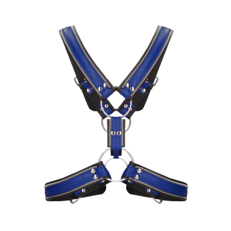 Z Series Scottish Leather Harness L/XL with Stainless Steel Details