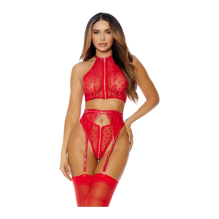Fantasy Lingerie I Heart You Mesh Lingerie Set XL - Zip-Front, Heart Detail