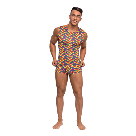Male Power Pride Fest Fitness Tank Top S Rainbow Herringbone