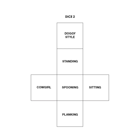 Shots Sexy Dice Game 2-Piece Set - Creative Couples Play