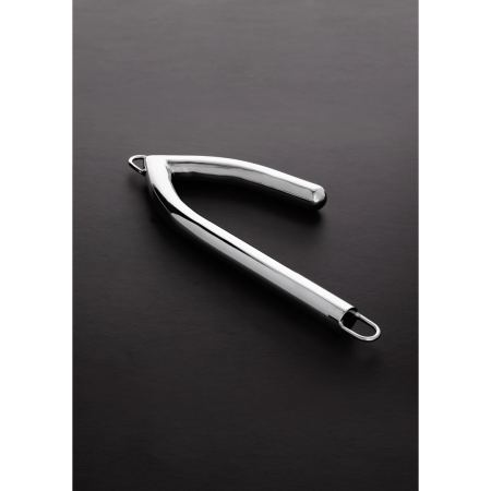 Master Series Stainless Steel Bondage Hook with Dual Attachment Rings
