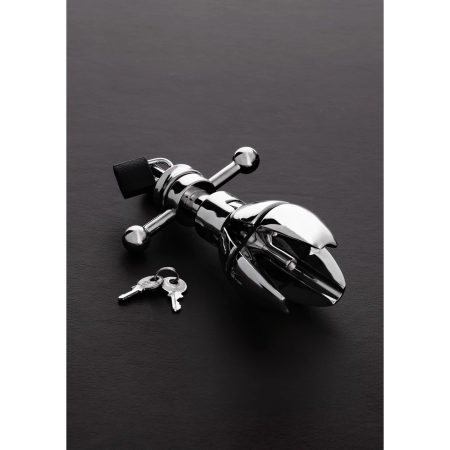 Master Series The Anal Lock Expandable Steel Plug with Padlock Option