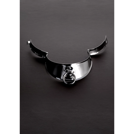 Kiotos Chrome Steel Collar for Men with Locking Clasp 15/38cm