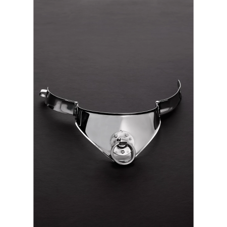 Master Series Cleopatra Steel Collar with Ring 38 cm - Polished Chrome Finish