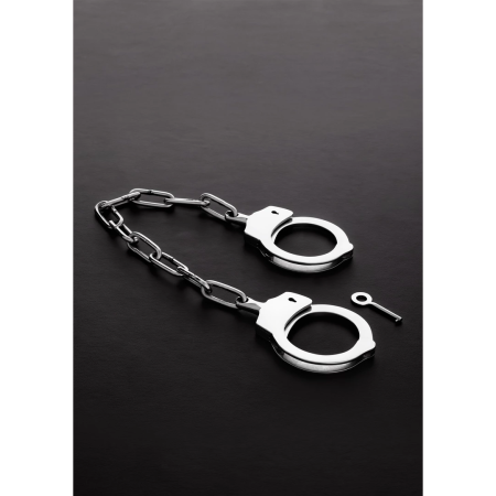 Peerless Stainless Steel Hand Restraint System Smooth Action Silver