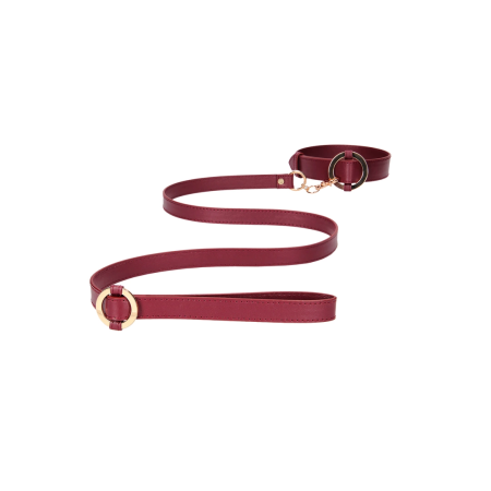 OUCH HALO Premium Collar and Leash Set - Gold Accents, Adjustable Fit