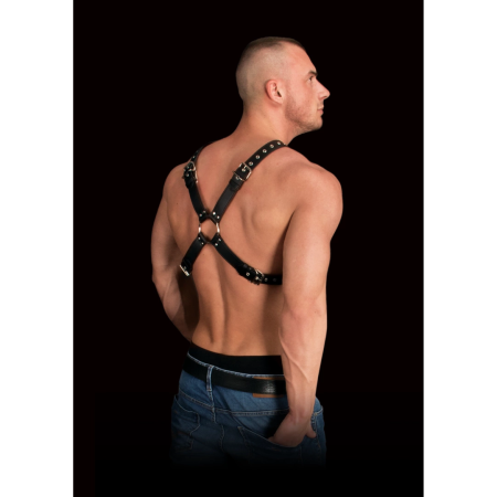 Adonis High Halter Harness - Adjustable Bonded Leather Chest System
