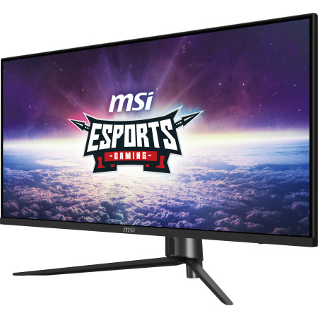 MSI MAG401QR kompiuterio monitorius 40"