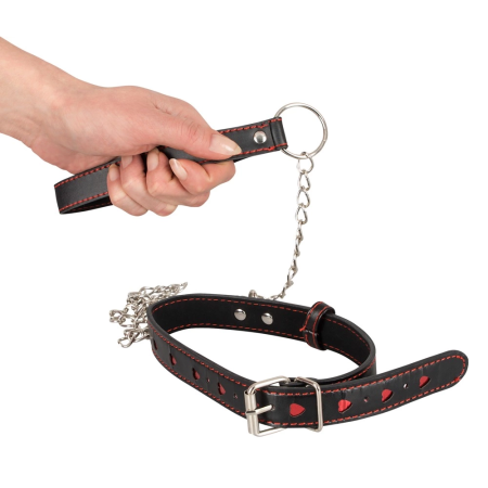 Bad Kitty Adjustable Black & Red Collar with Leash Set 35-48 cm