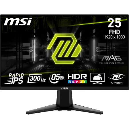 MSI MAG 255XF kompiuterio monitorius 24.5"