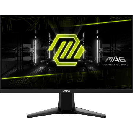 MSI MAG 255XF kompiuterio monitorius 24.5"