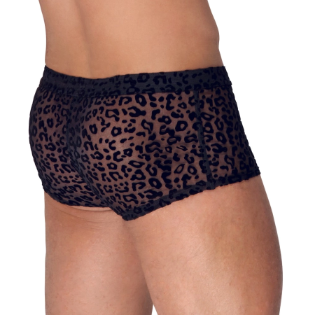 Noir Handmade M.Pants Leo 2XL - Transparent Powernet, Leopard Print