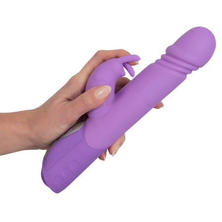 Sweet Smile Push Vibrator Purple Rabbit Model, 10 Modes, 25 cm