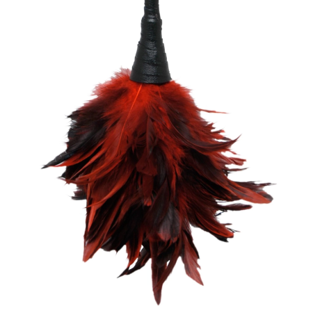 FFS Frisky Feather Duster Intimate Sensation Tool 35.6 cm Black