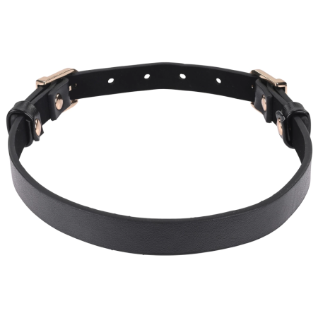 Sportsheets S&M Double Buckle Day Collar Black Adjustable Gold Detail