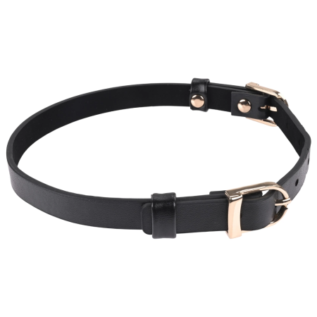 Sportsheets S&M Double Buckle Day Collar Black Adjustable Gold Detail