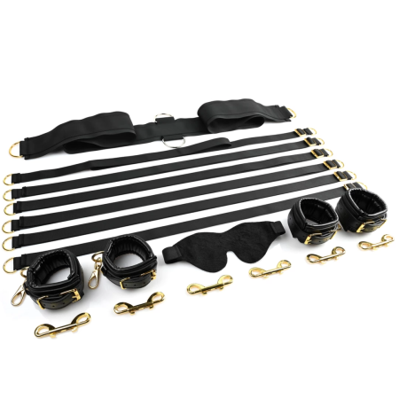 Sportsheets Under the Bed Restraint System Special Edition, 6 Points, Gold Hardware