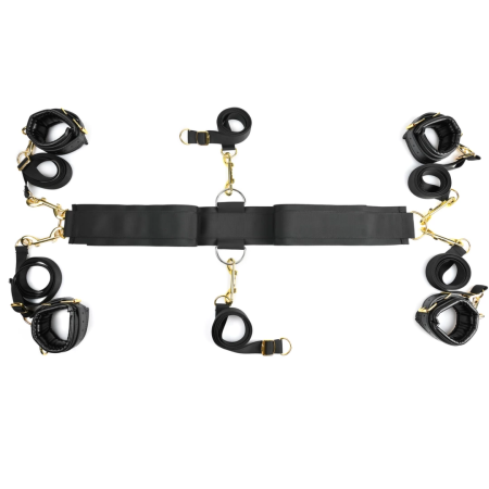 Sportsheets Under the Bed Restraint System Special Edition, 6 Points, Gold Hardware