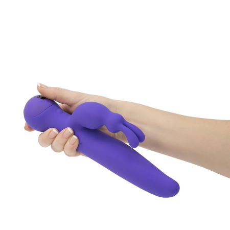 Swan Duo Rabbit Intimate Massager Purple Touch Panel PowerBullet