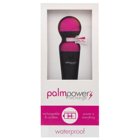 PalmPower Rechargeable Wand Massager - Wireless USB Silicone Head