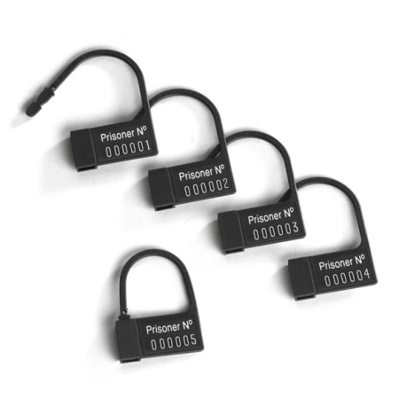 Mystim Pubic Enemy No 1 Transparent Intimate Cage with E-Stim Function