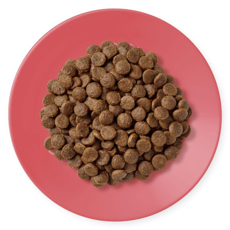 APPLAWS Suaugusiems Vištiena su antis - sausas kačių maistas - 400 g