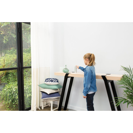 Netatmo NWS01-EC skaitmeninė oro stotelė Aliuminis Baterijos / USB „Wi-Fi“