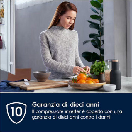 Electrolux LNT6NE18S Įmontuotas šaldytuvas 257 L E Balta