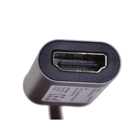 USB-C - HDMI 2.0 4K 60Hz adapterio kabelis Unitek (V1420A)