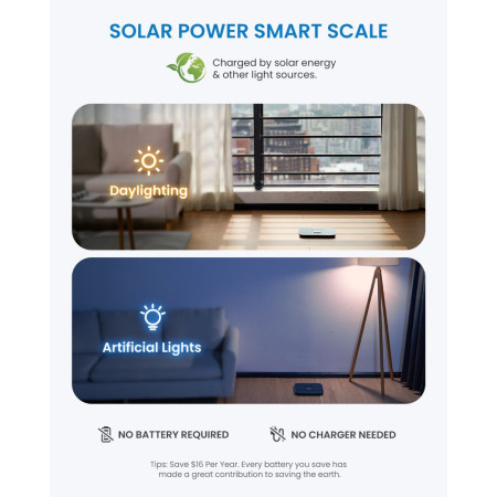 RENPHO Elis Solar 2 Smart Scale Black