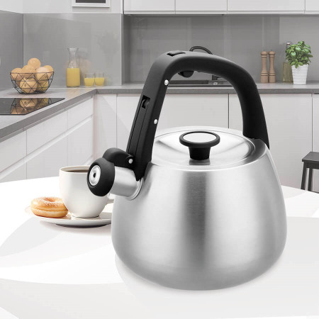 Kettle Maestro MR-1318 2,5 l Silver, Black