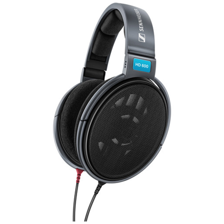 Sennheiser HD 600 ausinės pilkos