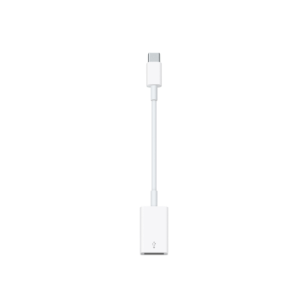 Apple USB-C - USB laidas