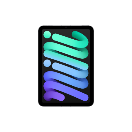 Apple iPad mini 128GB Wi-Fi + Cellular Gwiezdna šarość