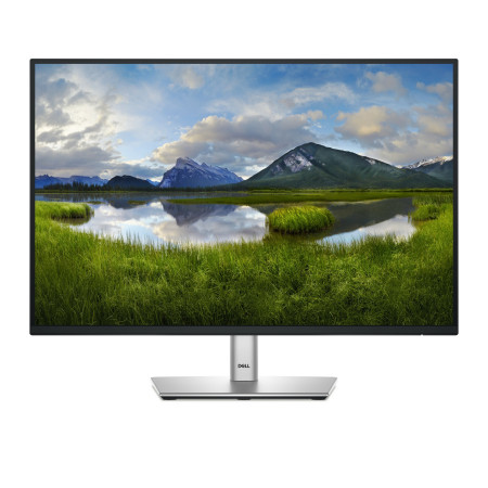 DELL Pro Plus P2425E 61,1 cm (24.1") kompiuterio monitorius WUXGA