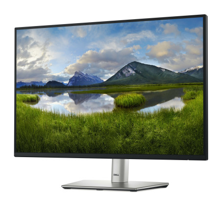 DELL Pro Plus P2425E 61,1 cm (24.1") kompiuterio monitorius WUXGA