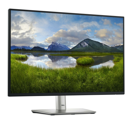 DELL Pro Plus P2425E 61,1 cm (24.1") kompiuterio monitorius WUXGA