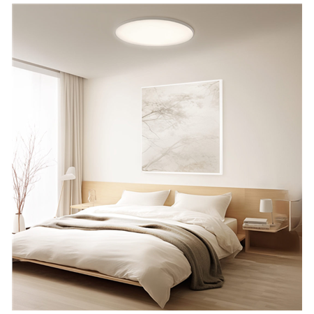 Smart lubų šviestuvas D40