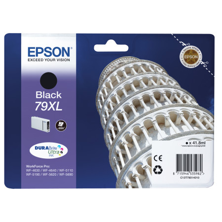 Epson Juodas Rašalo Kasetė T7901