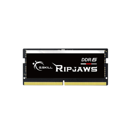 G.Skill Ripjaws DDR5 32GB 5600MT/s atminties modulis