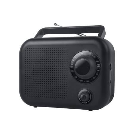 New-One | Portable radio 2 ranges | R210