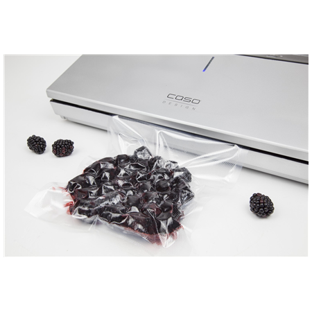 Caso | Bar Vacuum sealer | GourmetVAC 480 | Power 160 W | Silver