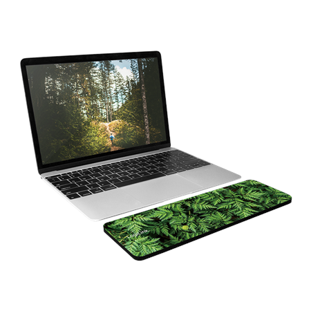 Logilink | Keyboard Wrist Pad, medium | ID0169 | Wrist rest | N/A | N/A | Green