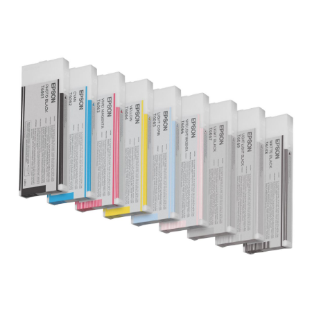 Epson T606900 | Ink Cartridge | Light light Black