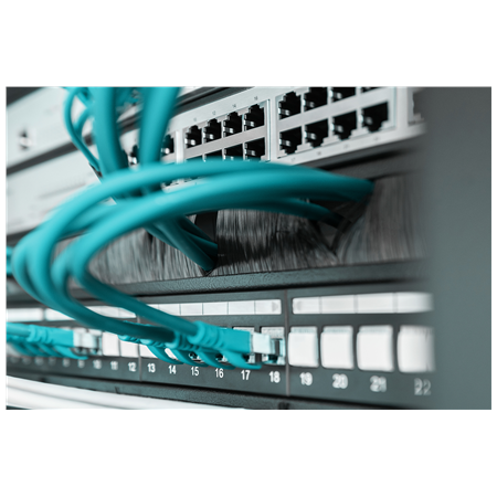 Digitus | 1U cable brush management panel open brush | DN-97661 | Black | The Cable Brush Management Panel is getting fixed on t