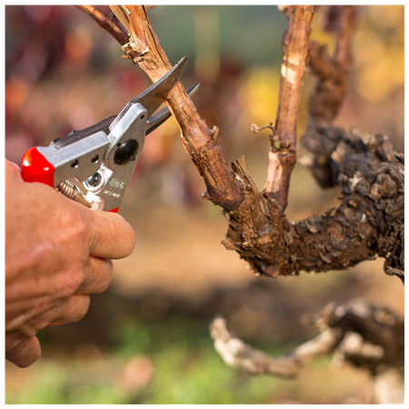 Felco | One-hand pruning shear | FELCO 6