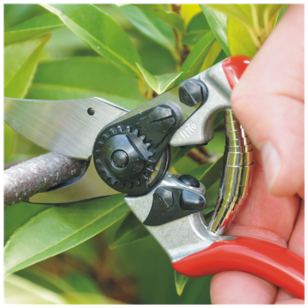 Felco | One-hand pruning shear | FELCO 6