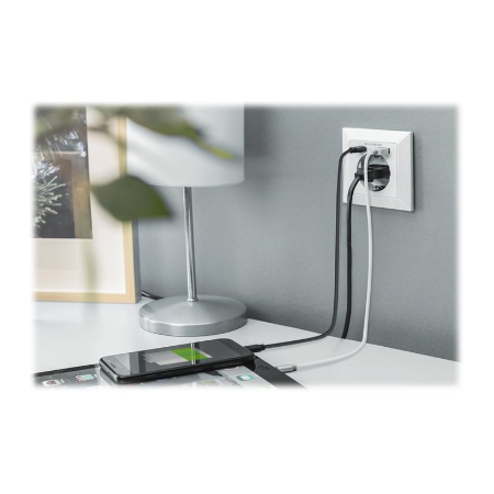Digitus | Safety Plug for Flush Mounting with 1 x USB Type-C, 1 x USB A