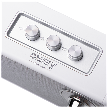 Camry | Speaker with radio | CR 1902 W | White | Wireless connection